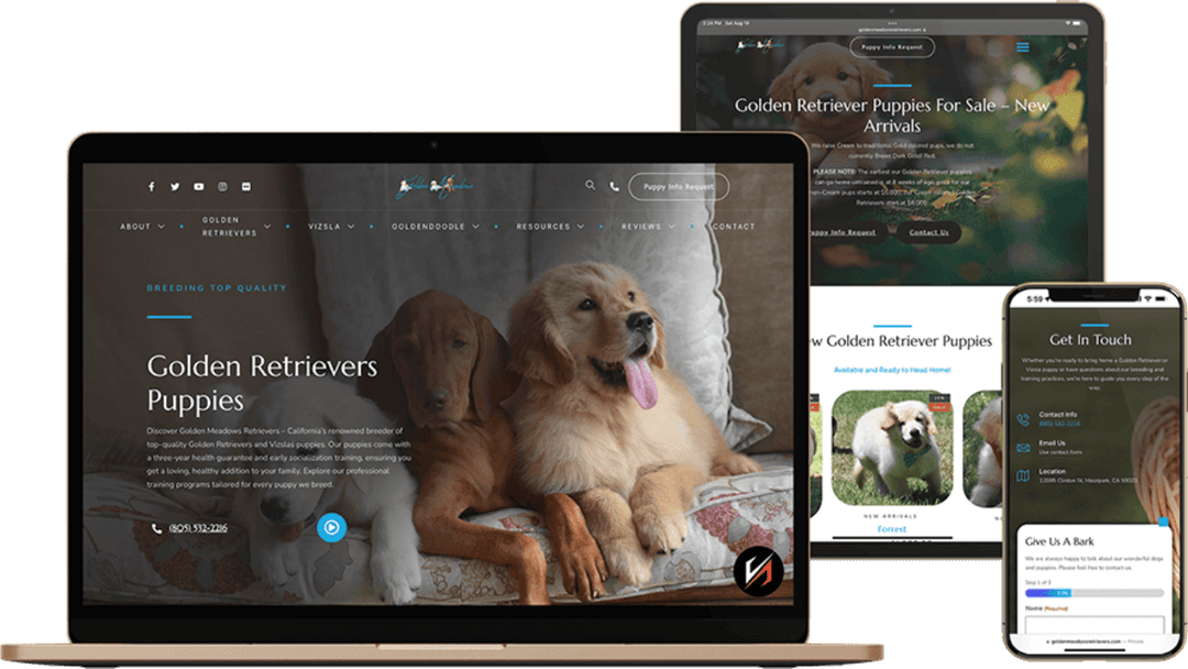 Golden Meadows Retrievers